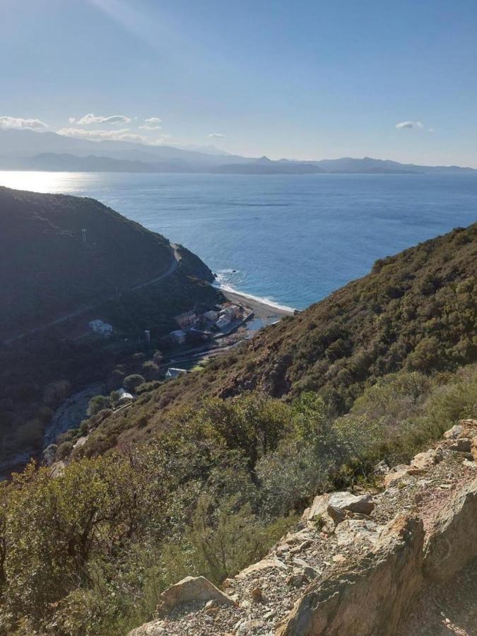 Cap Corse - Grande Maison Au Bord De Mer - Pmr Grillasca 外观 照片